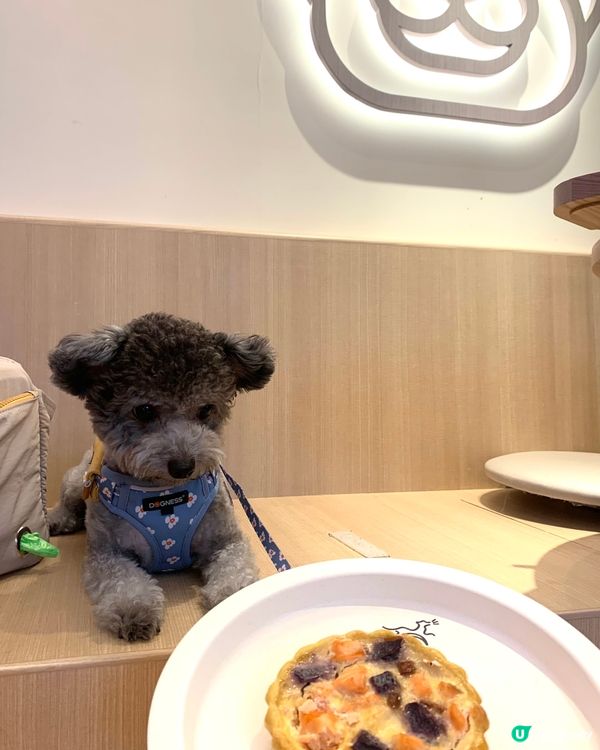 媽媽要相機食先，搞到我等左好耐先有得食😒