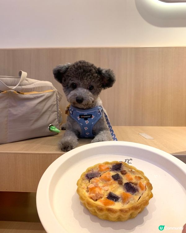 媽媽要相機食先，搞到我等左好耐先有得食😒