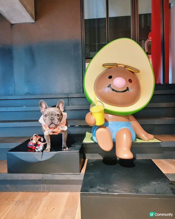 呢隻野自私飲牛油果🥑奶昔