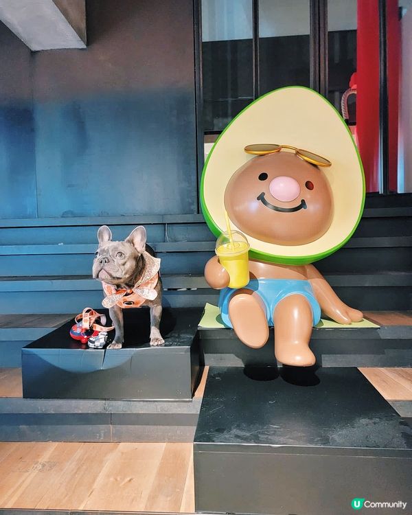 呢隻野自私飲牛油果🥑奶昔