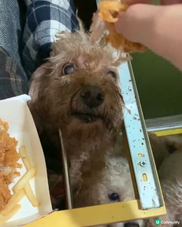 每次係屋企食親宵夜🙌🏻