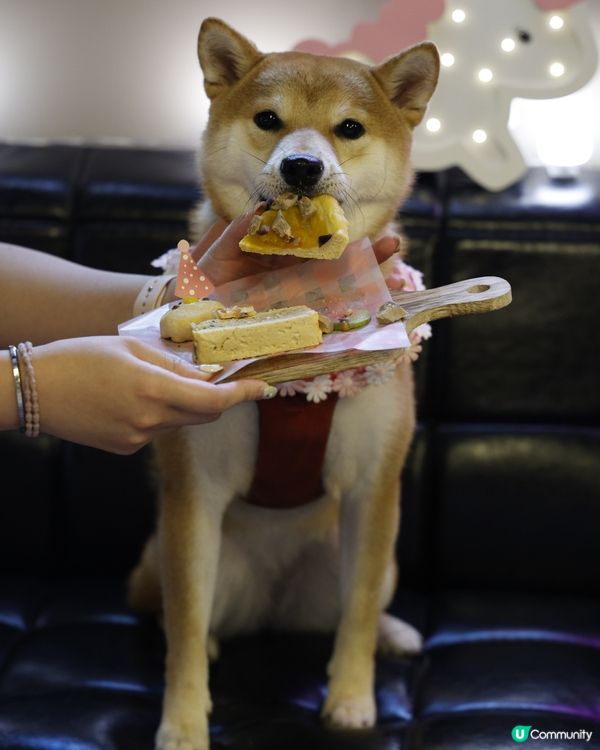 哎吔！比人發現我偷食添🙈 