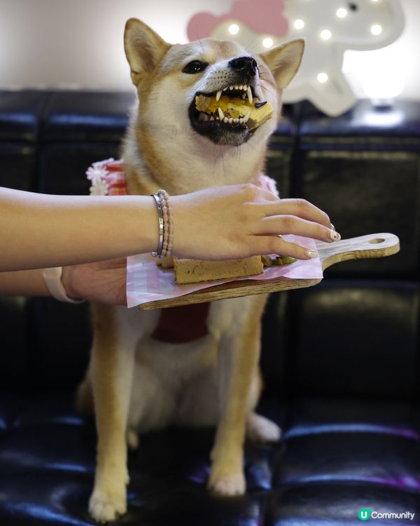 哎吔！比人發現我偷食添🙈 