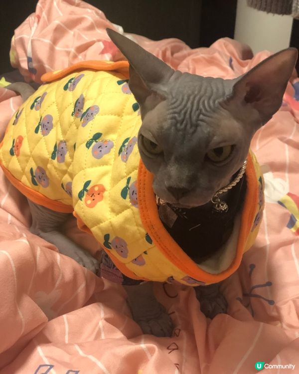 捱左4日⋯⋯終於開心星期五喇！