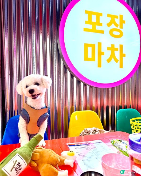 市區打卡韓國美食，半戶外位，仲有狗狗玩具影相📸️👍🏻