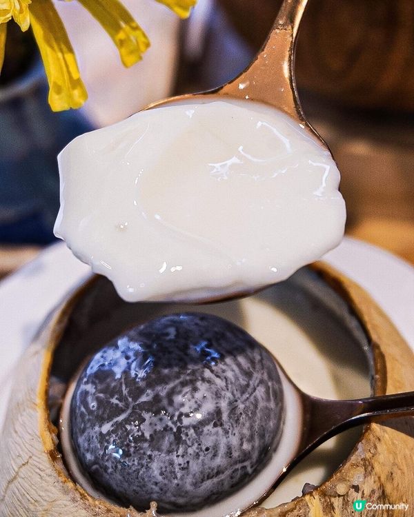 《杏甜品新分店💛 全新木蓮凍甜品🍮》