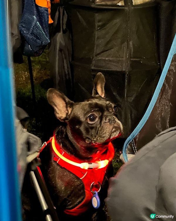 蚊蚊內心os：春分秋至 到底你經過什麼事🥺