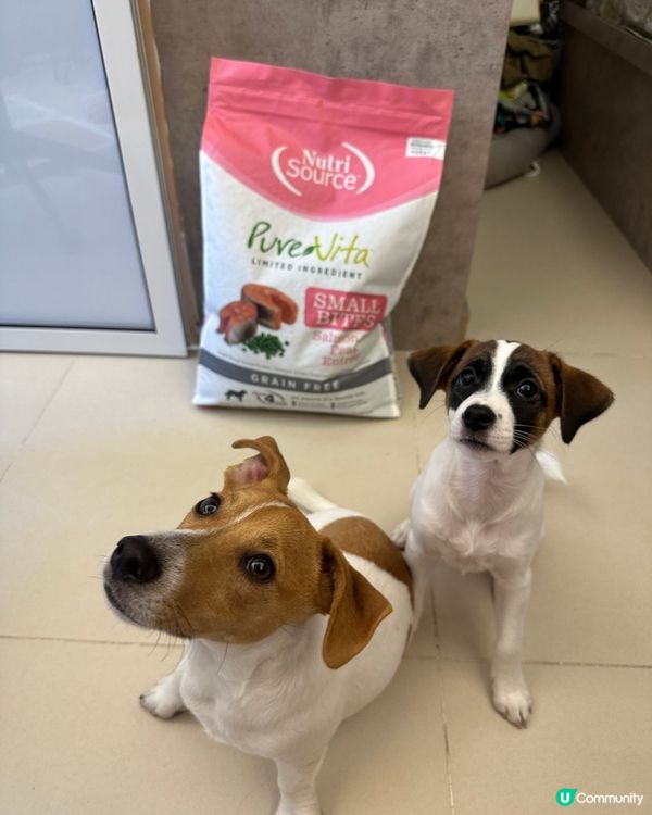 焚化爐珍珠奶茶嘅糧到了