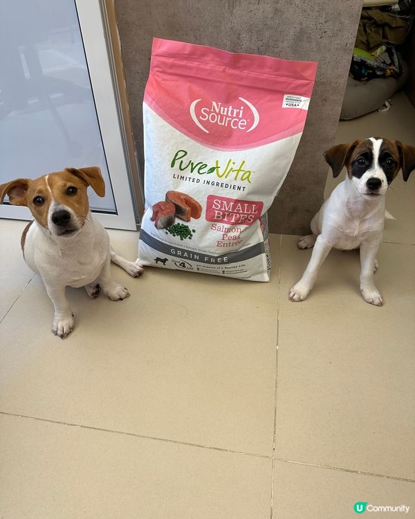 焚化爐珍珠奶茶嘅糧到了