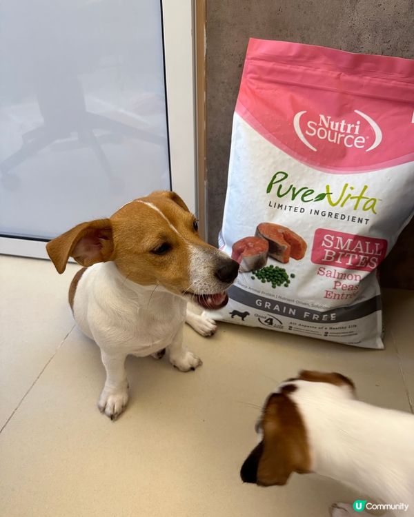 焚化爐珍珠奶茶嘅糧到了