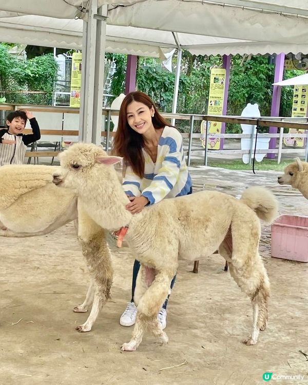 上星期我哋終於去咗大埔 蝶豆花園 啦！