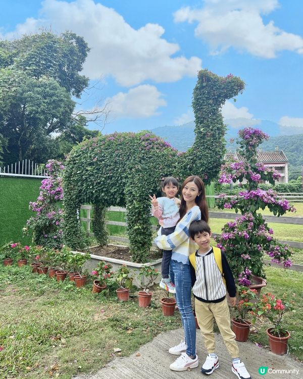 上星期我哋終於去咗大埔 蝶豆花園 啦！