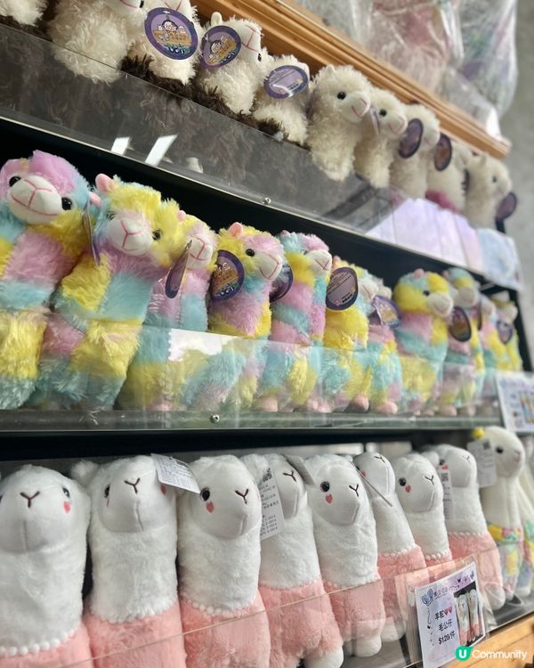 上星期我哋終於去咗大埔 蝶豆花園 啦！