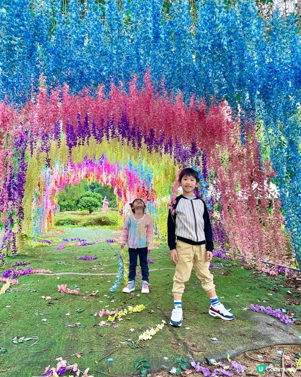 上星期我哋終於去咗大埔 蝶豆花園 啦！