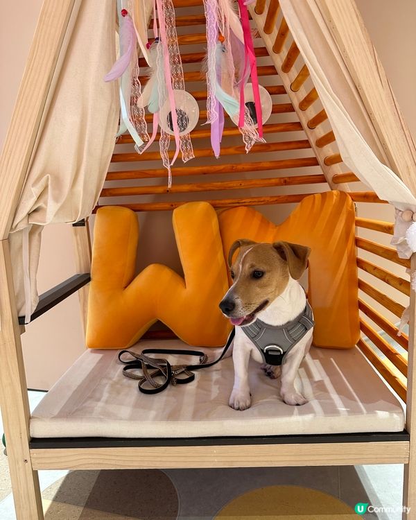 呢度打卡好靚呀，爸爸媽媽仲買左牛腳趾甲比我地😋一人一個不用爭...