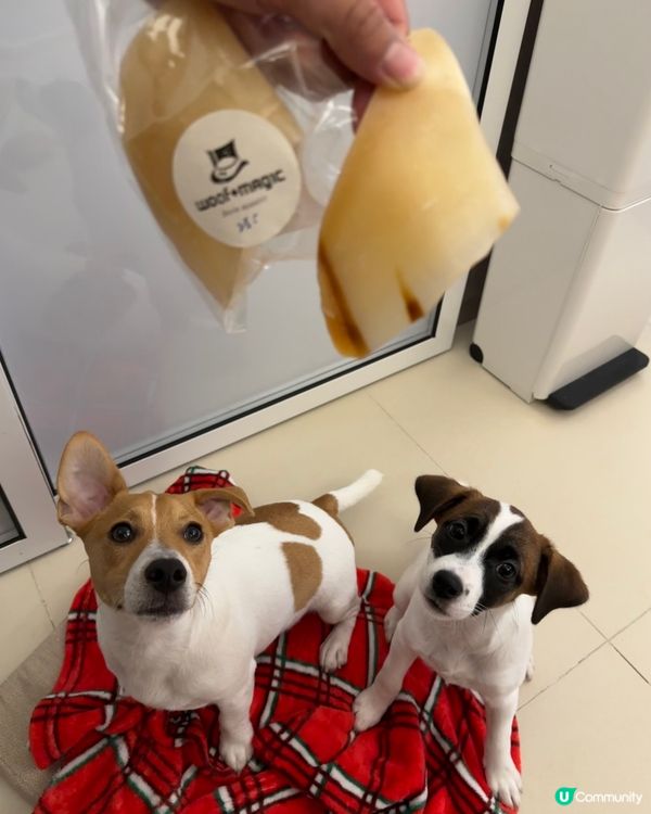 呢度打卡好靚呀，爸爸媽媽仲買左牛腳趾甲比我地😋一人一個不用爭...