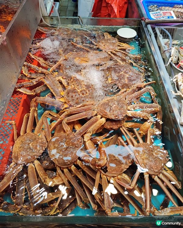 日本松葉蟹，今次只係清蒸，都好鮮甜
