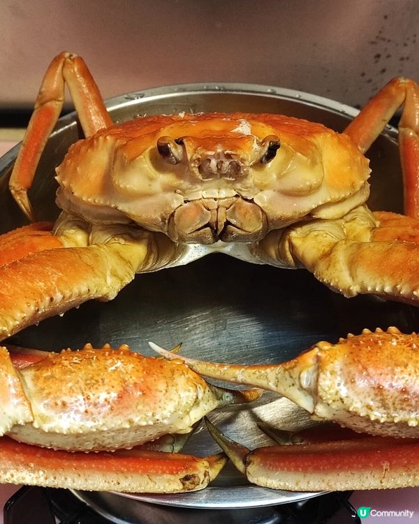 日本松葉蟹，今次只係清蒸，都好鮮甜