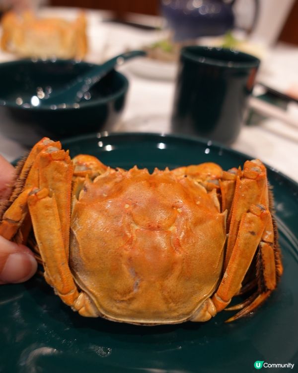 🦀任食放題爆膏大閘蟹🦀
