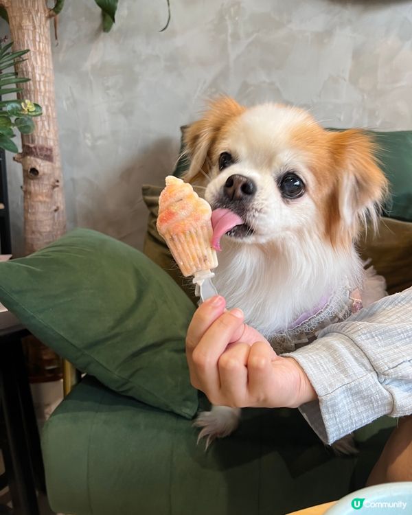 大家好 我叫千千 經常都同姐姐佢哋出街