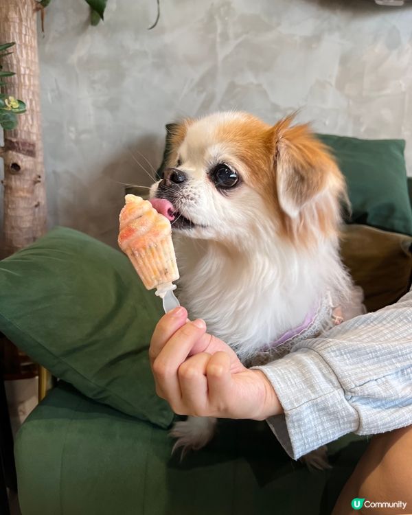 大家好 我叫千千 經常都同姐姐佢哋出街