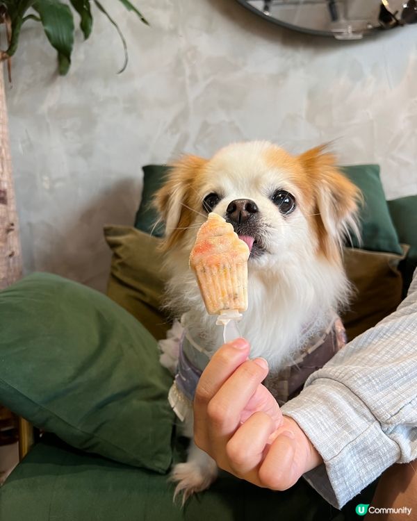 大家好 我叫千千 經常都同姐姐佢哋出街