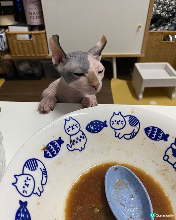 媽~好似幾香咁喎⋯⋯