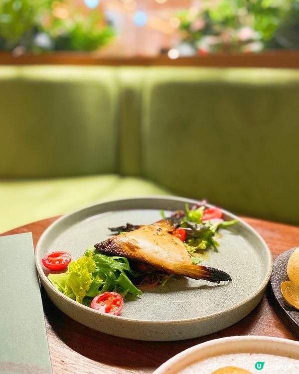 🏮二訪土瓜環KAKU