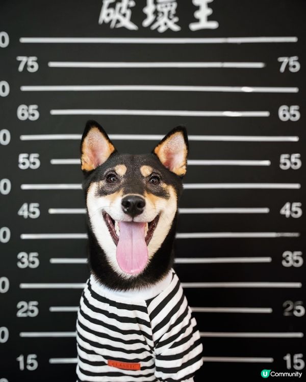 攝影師哥哥：不如著埋件衫影丫