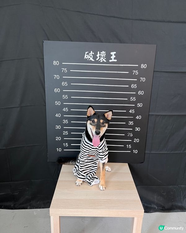 攝影師哥哥：不如著埋件衫影丫