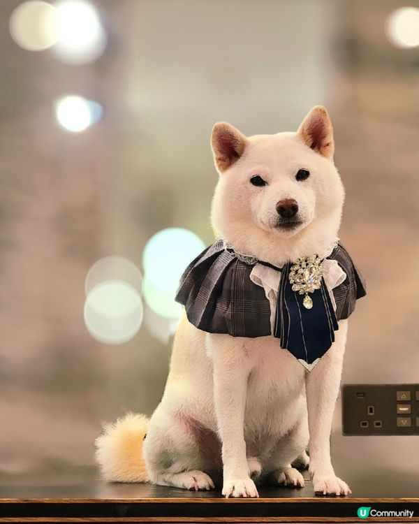 I'm handsome boy😎