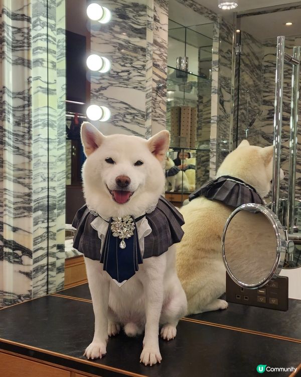 I'm handsome boy😎