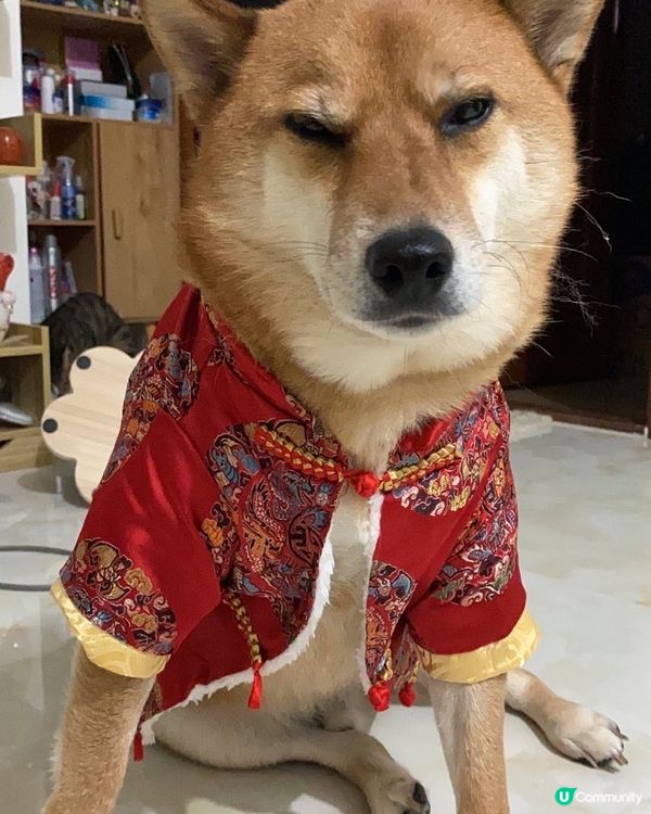 「我就係水師提督常昆常大人嘅仔 —— 常威」