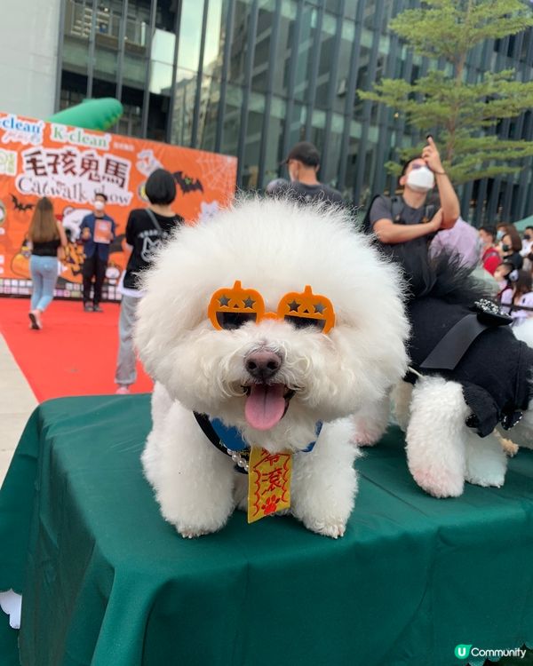 我既百變造型照會令你“哇”一聲嫁😆😆