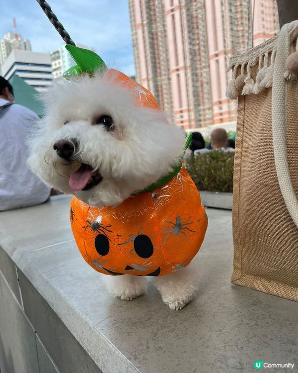 我既百變造型照會令你“哇”一聲嫁😆😆