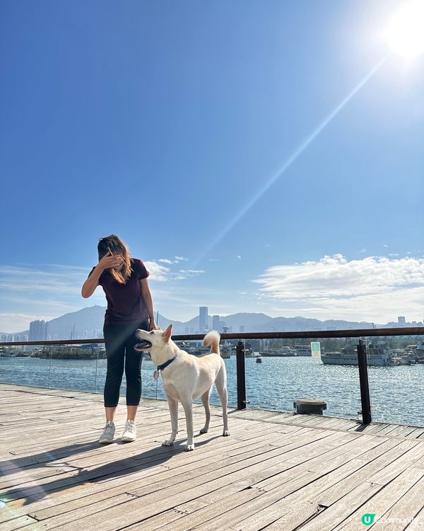 🏝️觀塘海旁寵物友善寫意西餐🐕