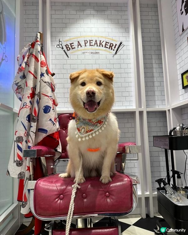 放假去整返個洗剪吹先✂️✂️