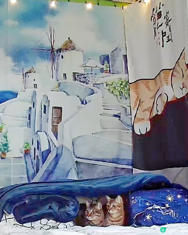 舖左張羽絨被比兩姊妹當床墊用，睇吓訓得幾舒服，見我地想開房門...