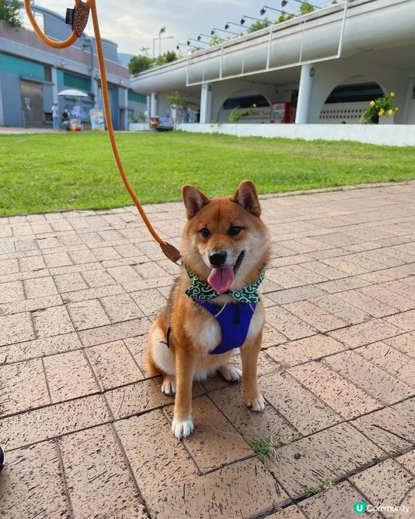 嘰嘰黎左香港咁耐第一次離開將軍澳去西貢行～好開心 