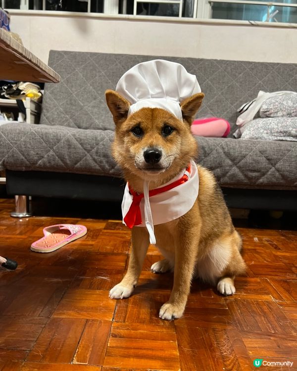 只要有信念 人人都可以係食神！