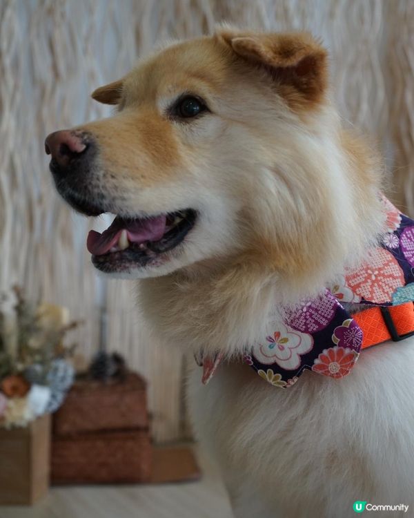 聽日放假去邊度玩好🤔🤔