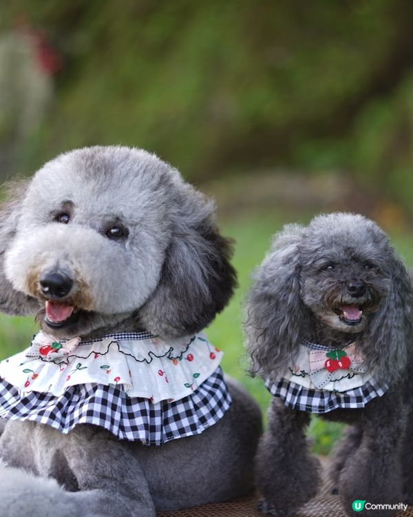 放假又係同班公主去玩的時候😏