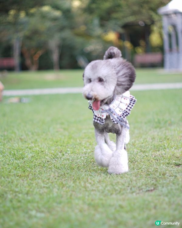 放假又係同班公主去玩的時候😏