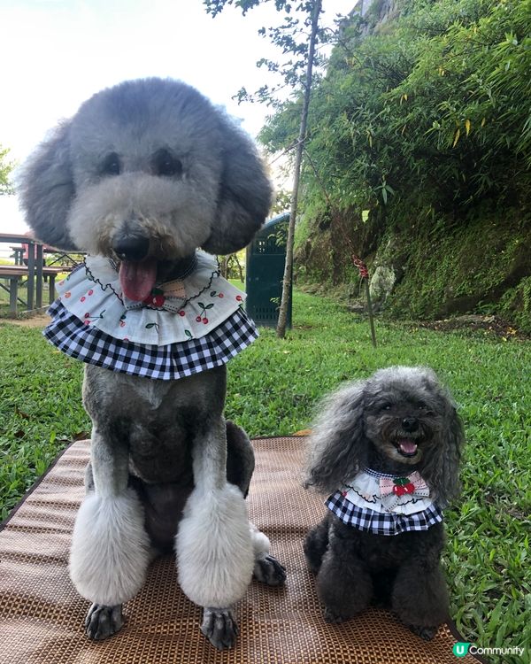 放假又係同班公主去玩的時候😏