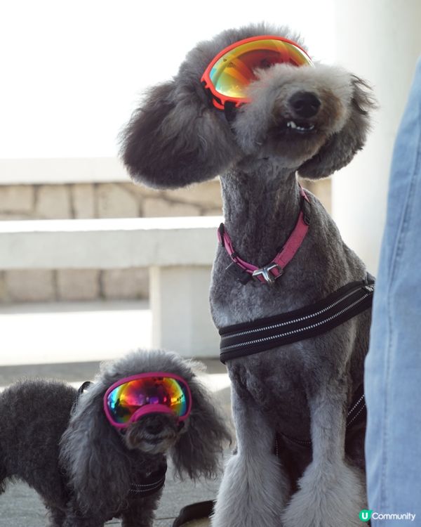 放假又係同班公主去玩的時候😏