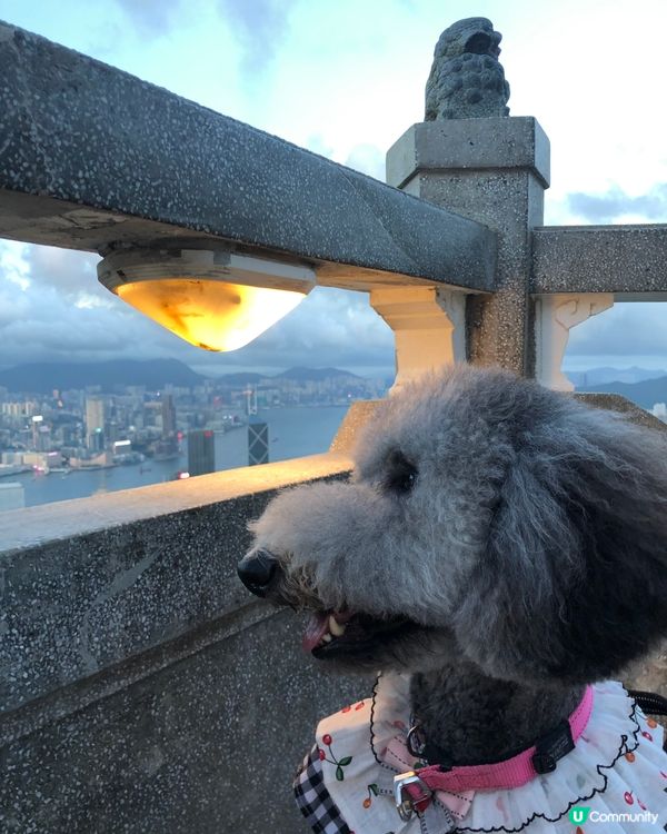 放假又係同班公主去玩的時候😏