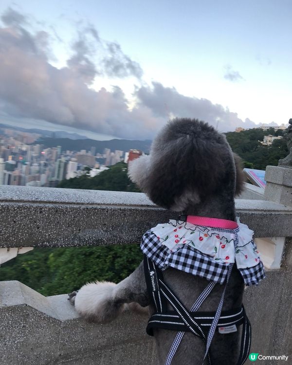 放假又係同班公主去玩的時候😏