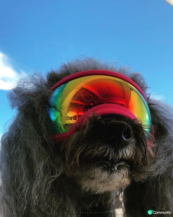 放假又係同班公主去玩的時候😏