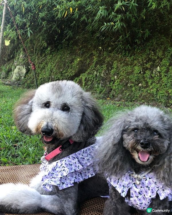 放假又係同班公主去玩的時候😏