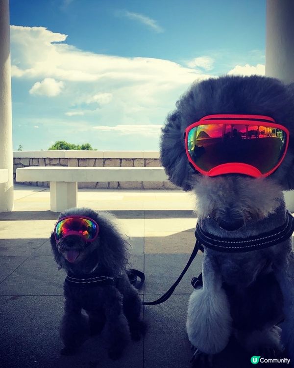 放假又係同班公主去玩的時候😏